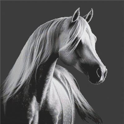 (image for) Grey Arabian